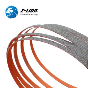 Cinturas de archivos de diamantes Z-Lion para detalles de cinturones de acondicionamiento de la superficie de lijado para recubrimientos sobrealimentados