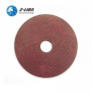 Z-LION Diamond sandpaper discs Hook and loop sanding discs