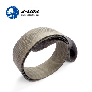Tiras de Z-Lion Diamond Emery para emerizar la tela
