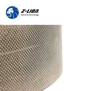 Tiras de Z-Lion Diamond Emery para emerizar la tela
