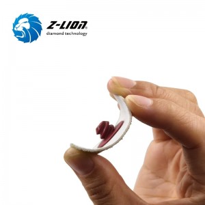 Z-LION Diamond Cloth Discs for Finishing and Dimensioning Hard Coated Materials