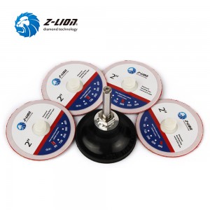Z-LION Diamond Roloc Discs Mabilis na Pagbabago Twist On At Off Roloc Discs