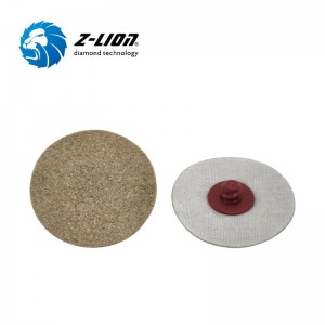 Z-LION Diamond Cloth Discs for Finishing and Dimensioning Hard Coated Materials