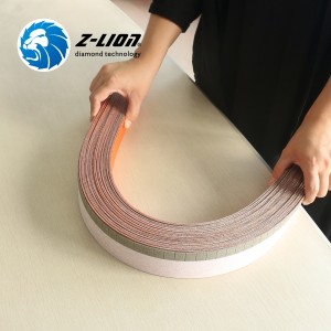 Z-LION Diamond strips for abrasive strip brush system designed for sanding wind mill turbine blades